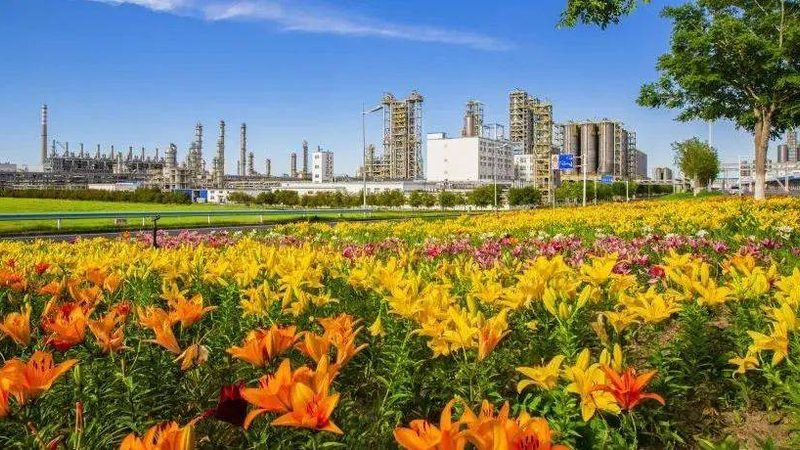 化工原料样品检测流程：确保品质与合规的关键步骤